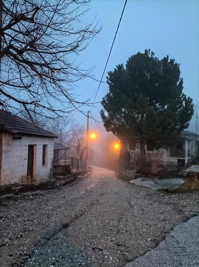 Guesthouse Elaia Mészi Szinikía Trikálon Kültér fotó