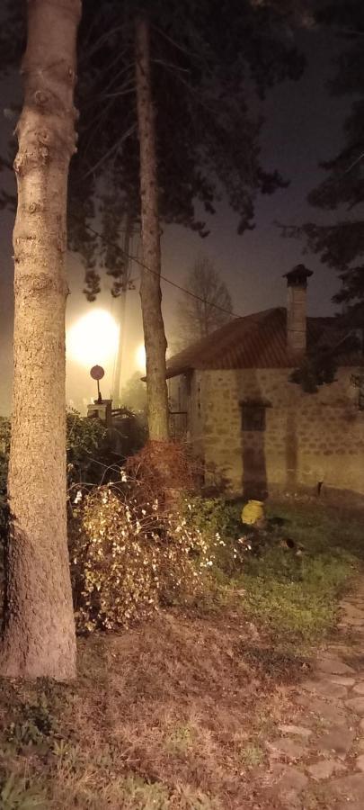 Guesthouse Elaia Mészi Szinikía Trikálon Kültér fotó